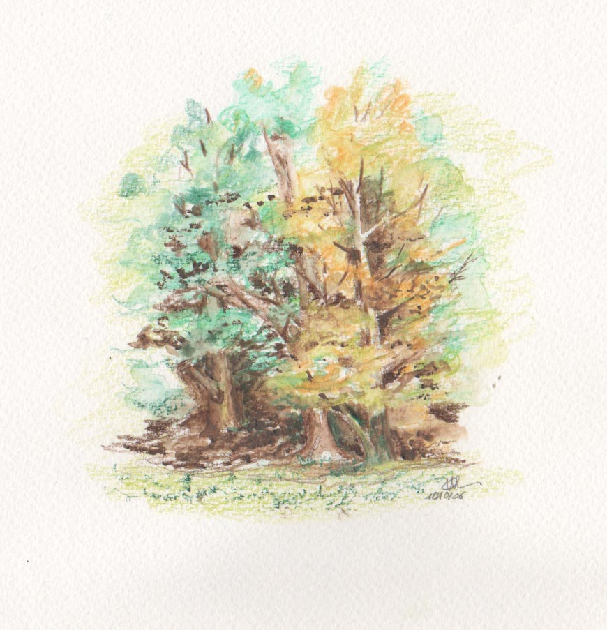 Aquarelle 1