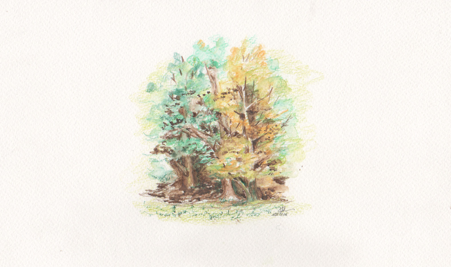 Aquarelle 1